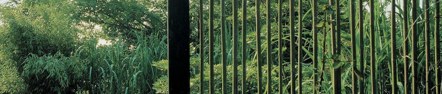 Smuk væg deler haven